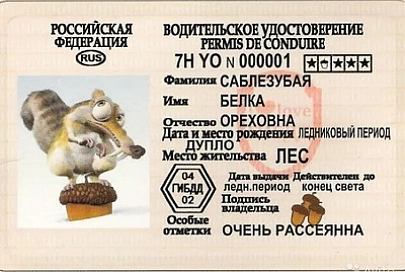 С начала года сотрудники ГАИ выявили 84 факта подделки документов, в том числе о прохождении гостехосмотра
